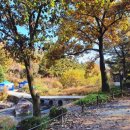 봄설(안양예술공원점) 이미지