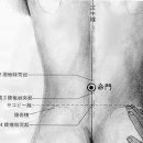 도가경전 원기론 元氣論 7. 신장 명문 단전술 이미지