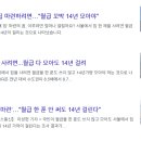 [카드뉴스] 파이어족이 온다: 빠르게 은퇴를 준비하는 사람들 | 비트코인 하는 법: 직장인 1억 모으기 현실적인 방법 (적금 vs 비트코인 수익률 비교)