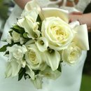 국제결혼문화원 이미지