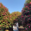 소소링제주2 이미지