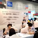 펫앤스토리 | 2025 마이펫페어 일산 킨텍스 방문후기 3탄 아웃도어 및 산책용품 펫서비스