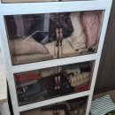 체인지업 | 봄맞이 옷정리 끝판왕✨ 2026년 신상 체인지업 접이식 수납장 폴딩 리빙박스 사용후기