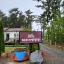 태안 애견동반 체로키캠핑장 14 사이트 우중캠핑 후기