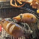 삼바리군산점 | 군산 삼바리 나운점,군산본점 낙지구이,조개구이 맛집
