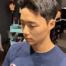 홀리랜드맨즈헤어