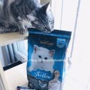 금방동 농장 | 레오나르도 프리미엄 고양이사료 키튼후기