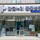 연동물병원 이미지