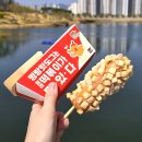 배민 명랑핫도그 100원 행사 감자통모짜 메뉴 pick