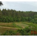 남북공인중개사사무소 이미지