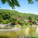 충청남도 공주시 녹수원글램핑, 가격, 연락처, 후기