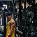 보스짐2 이미지