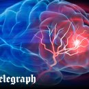 JS Boxing Gym 이미지