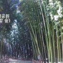 태화강대공원 대여소 이미지