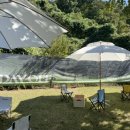 카페진북동 이미지