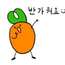 쉐프의 수제간식 이미지