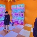 흙마늘누룽지닭강정