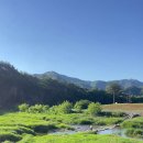 대촌관광농원 이미지