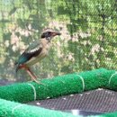 광주광역시야생동물구조관리센터 이미지