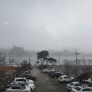 카페힐(CAFE HILL) 이미지