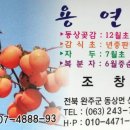 용연골