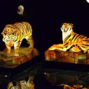 제주도흑돼지 이미지