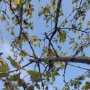 푸른 식물병원 이미지