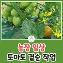 태산농장2 이미지