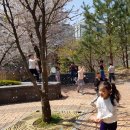 매봉초병설유치원 이미지