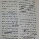 아지와 옹이 이미지