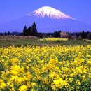 ■☞[모두투어]시즈오카취항기념 후지산 일정/금액 참고...