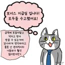 일본 좋소 고양이 좋았쓰!! 시리즈 최신 모음 이미지