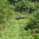 내서읍128 이미지