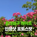 세븐일레븐 홍대6번출구점 | 홍대 데이트 추천 . 5월 중순 인생샷 가능 포토존
