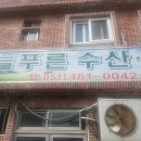 늘푸른유통