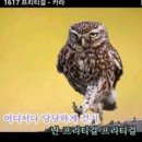 타마이 이미지
