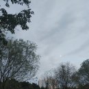 신창동1173 이미지