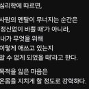 보고또보고