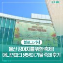 박병배 | 울산 강아지를 위한 축제! 애니언파크 댕댕이 가을 축제 후기!