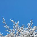 관청어린이공원 Daum카페