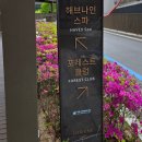 제천 가볼만한 곳 실내데이트 추천 포레스트 리솜 해브나인 스파 스톤스파 이용 꿀팁 사상체질 스파...