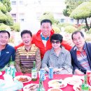 동명초등학교 Daum카페