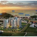 더오네뜨 이미지