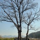 충암사