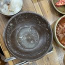 고궁다슬기 이미지