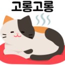 COZY 멍 이미지
