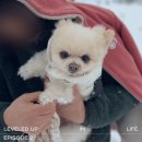 김미경산부인과의원 | 나는 금세 임신될 줄 알았다. (feat. 가임력 검사)