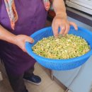 풀잎식당