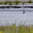 라루건설 이미지