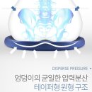 사계절 복코다리 | [기능성방석] 신기한 자세교정방석, 복코 밸런싱패드 후기